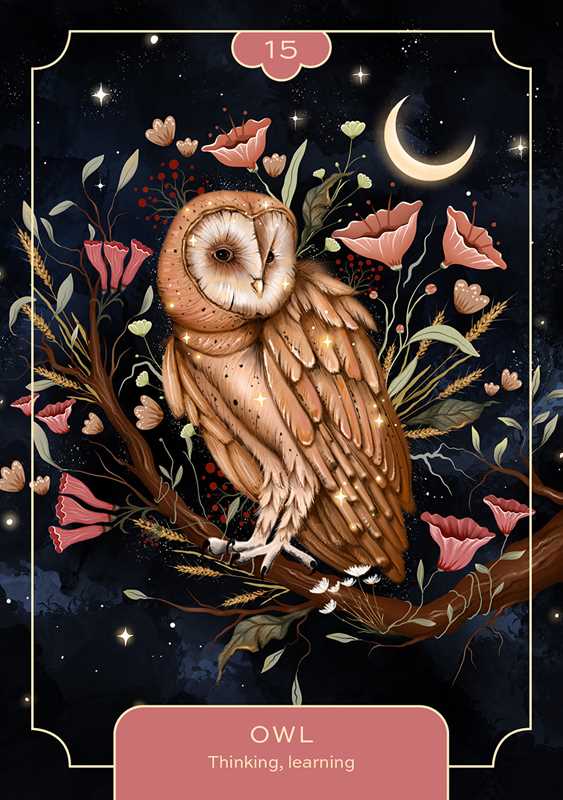 Animal Spirit Oracle Cards