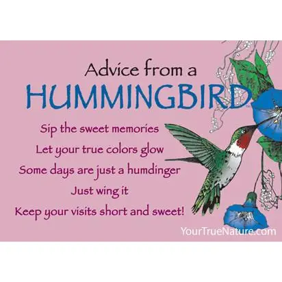 Magnet Advice from a Hummingbird