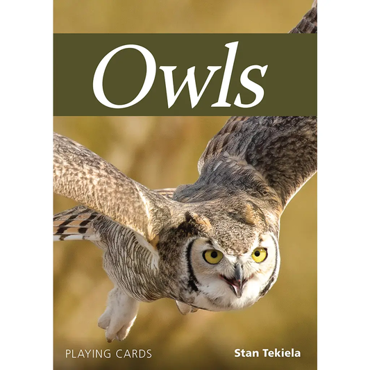 Owls Playing Cards
