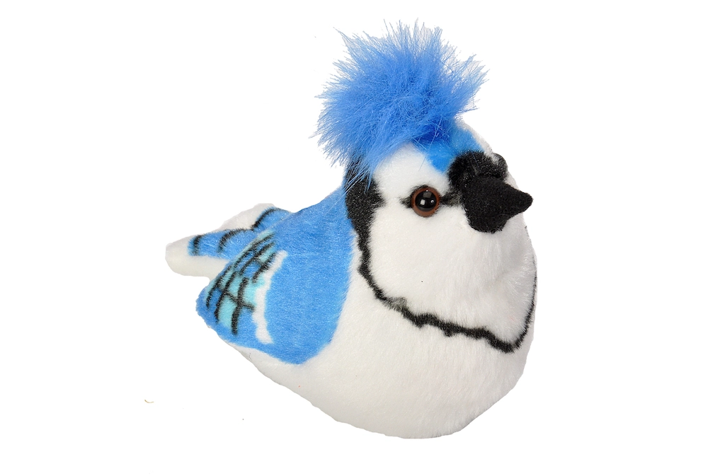 Blue Jay Stuffed Animal
