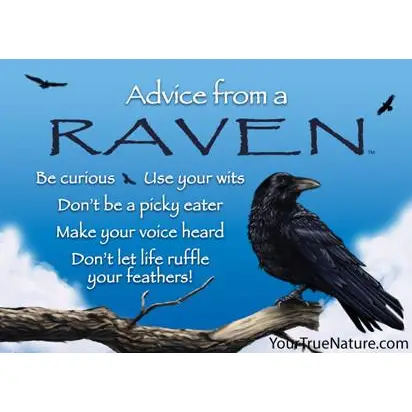 Magnet Advice from a Raven