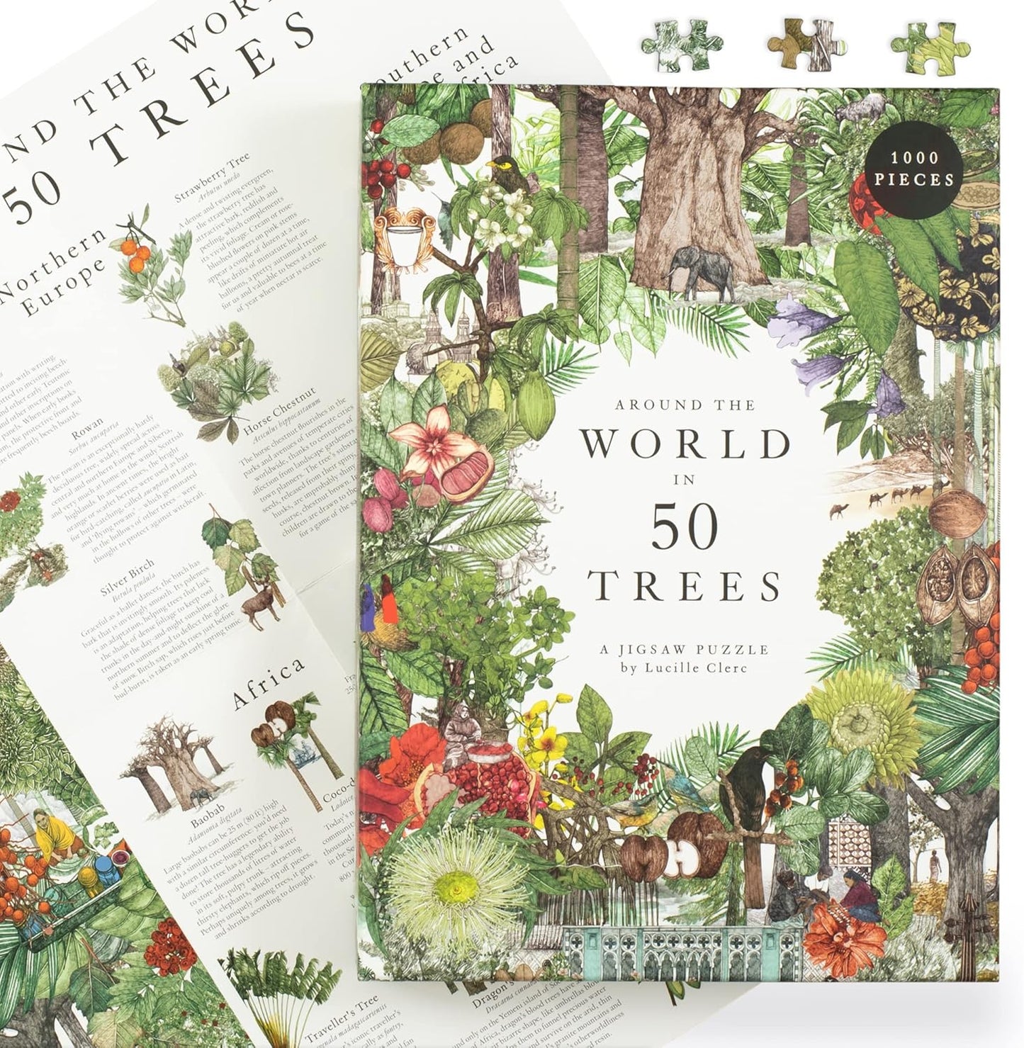 Around the World in 50 Trees Puzzle