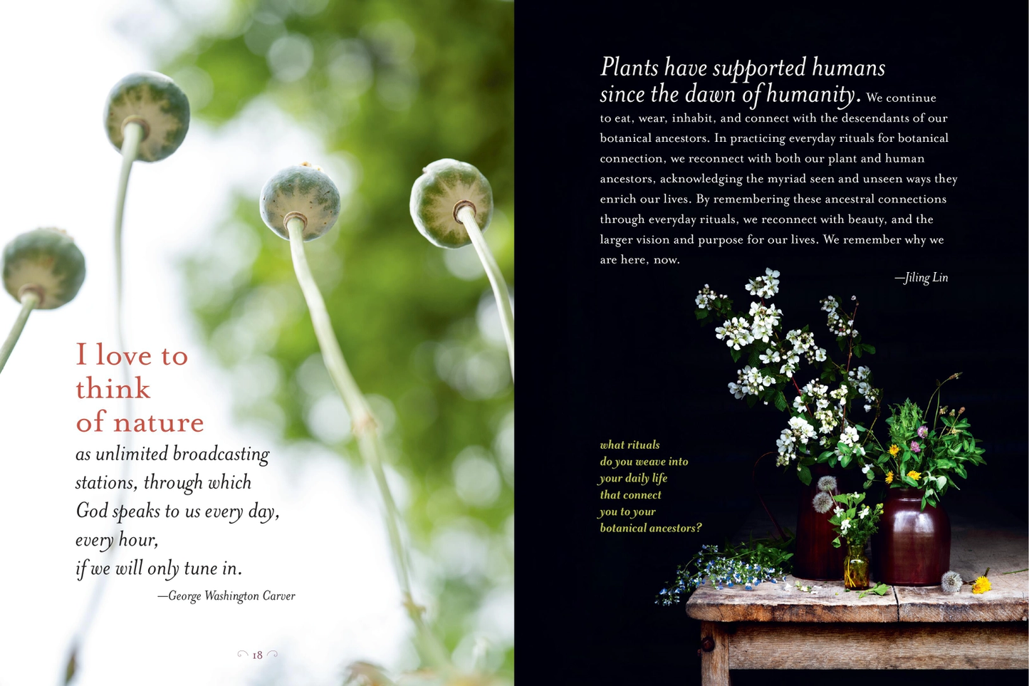 The Generosity of Plants Book