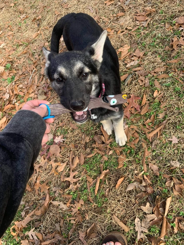 Barkley Doog Stick Fetch Toy