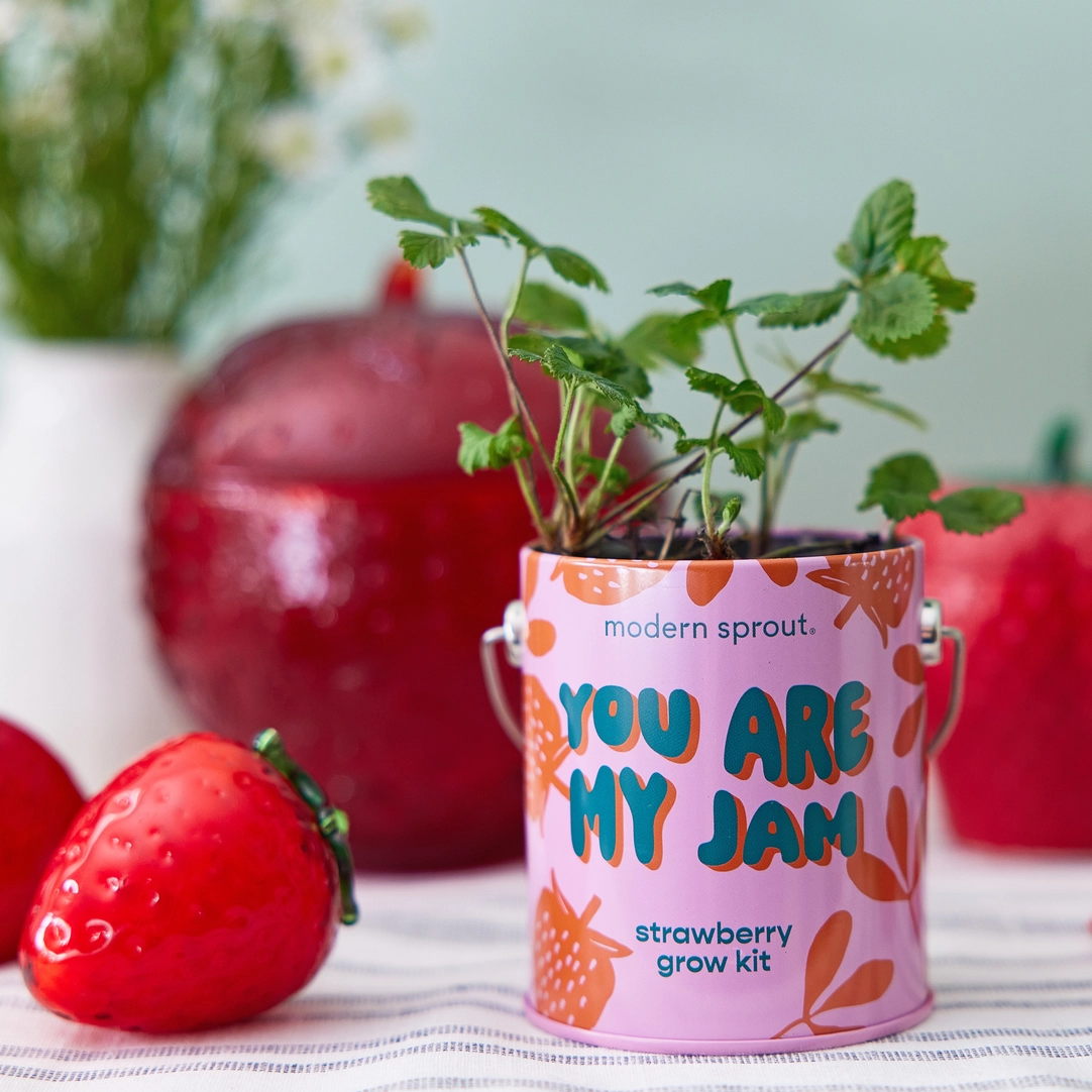 Color Grow Kit - You Are My Jam Strawberry Grow Kit