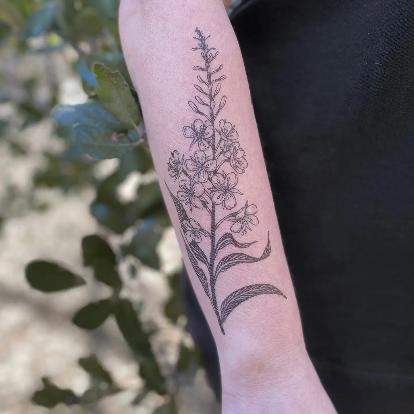 Fireweed Flower Temporary Tattoo