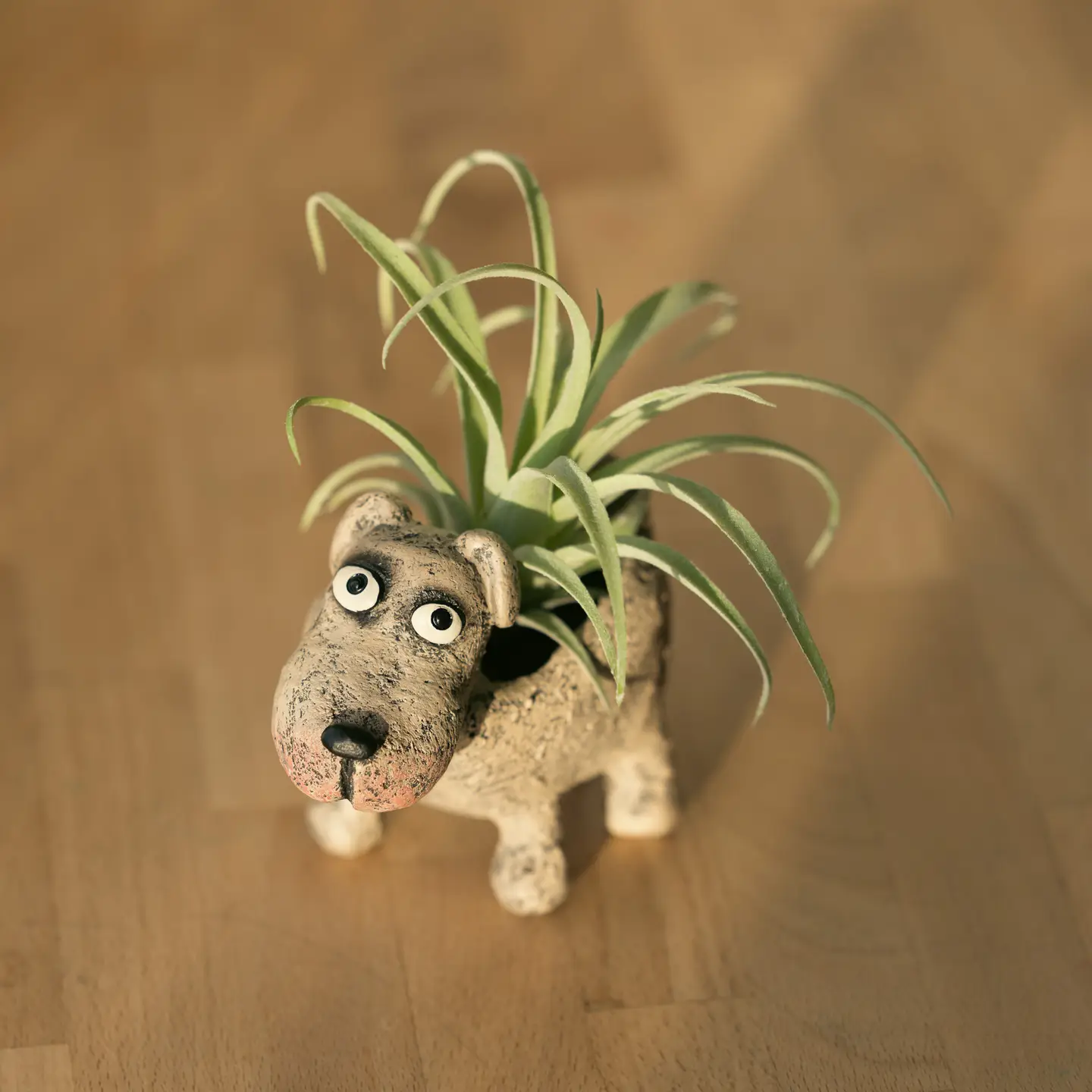 Petunia Dog Planter