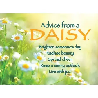 Magnet Advice from a Daisy