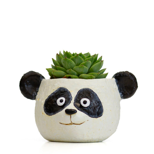 Mochi the Panda Planter