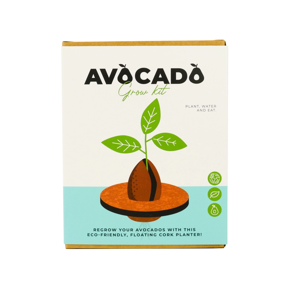 Avocado Grow Kit