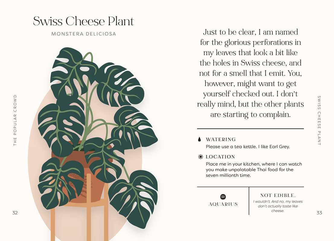 Houseplants and Their F*cked-Up Thoughts Book