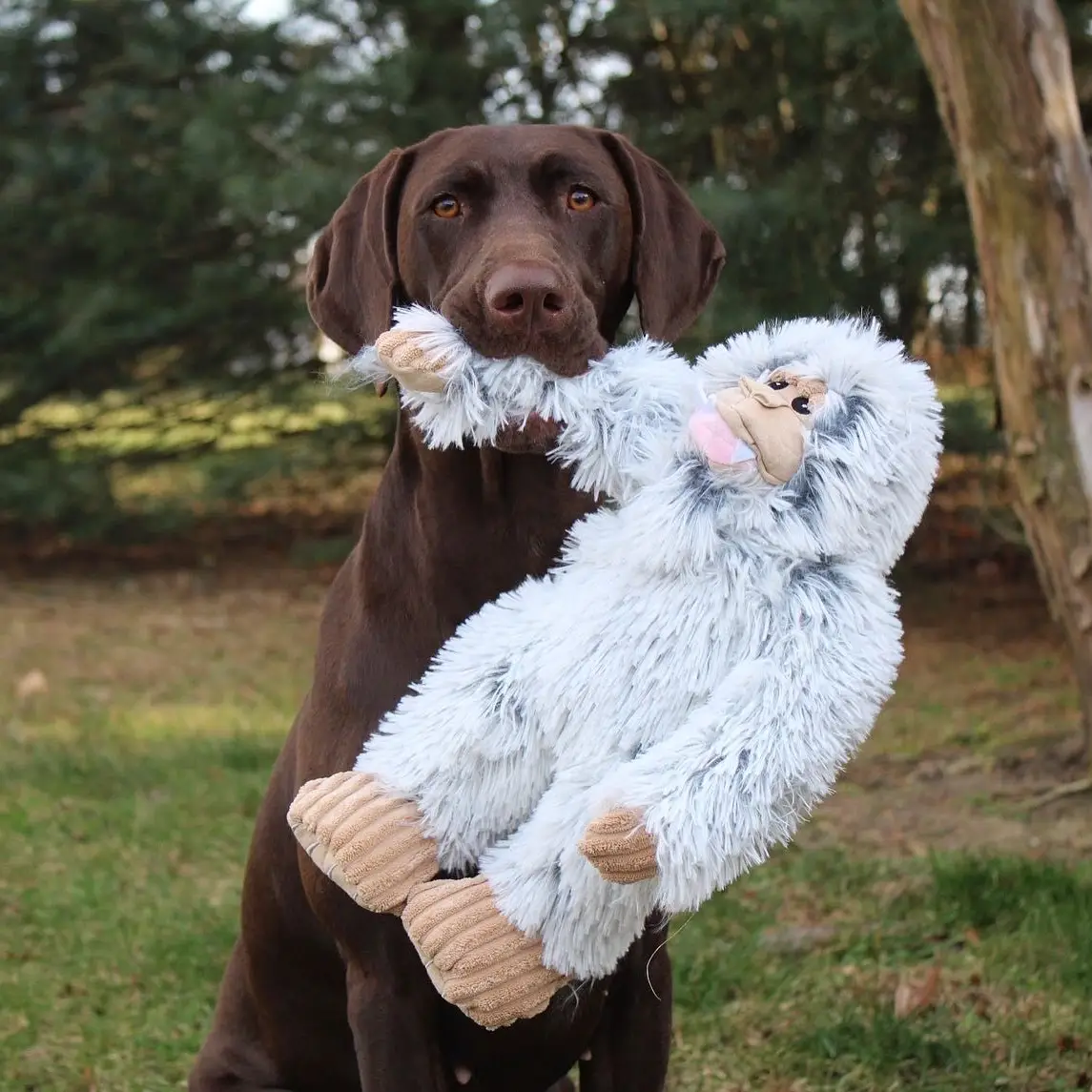 Plush Yeti Dog Toy 14"