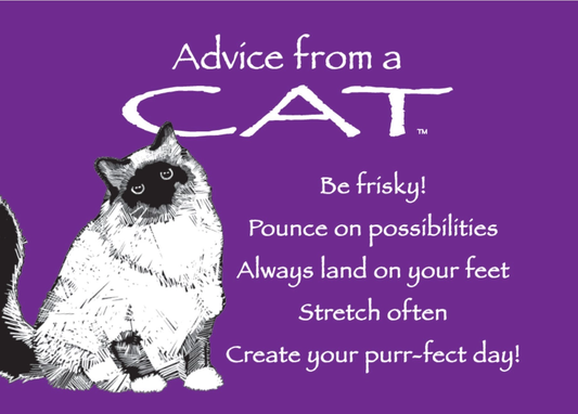 Magnet Advice from a Cat