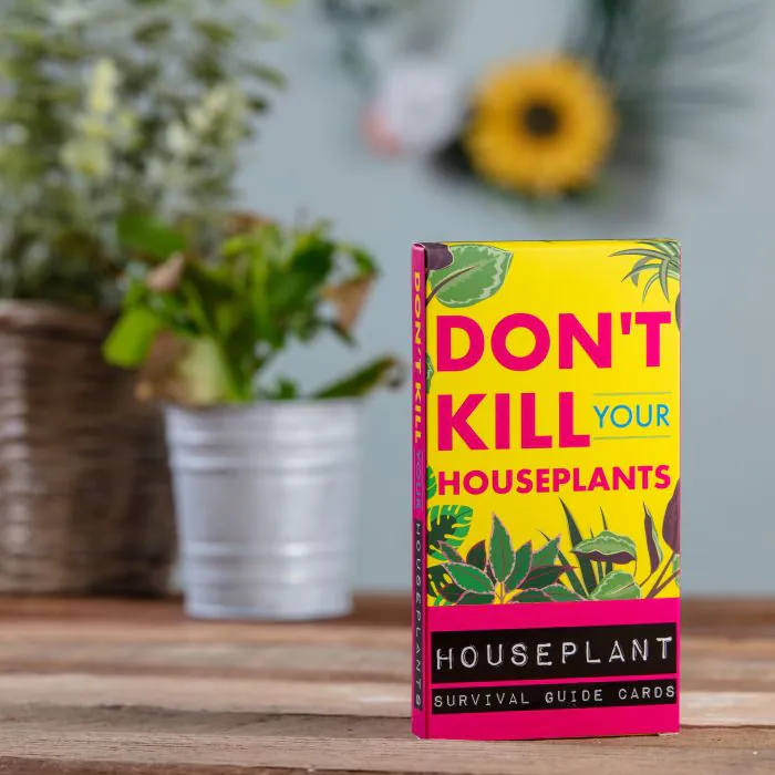 Don't Kill Your Houseplant Survival Cards