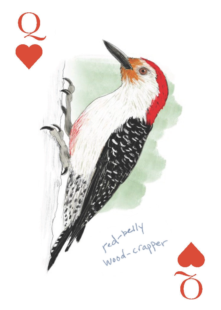 Field Guide To Dumb Birds Playing Cards