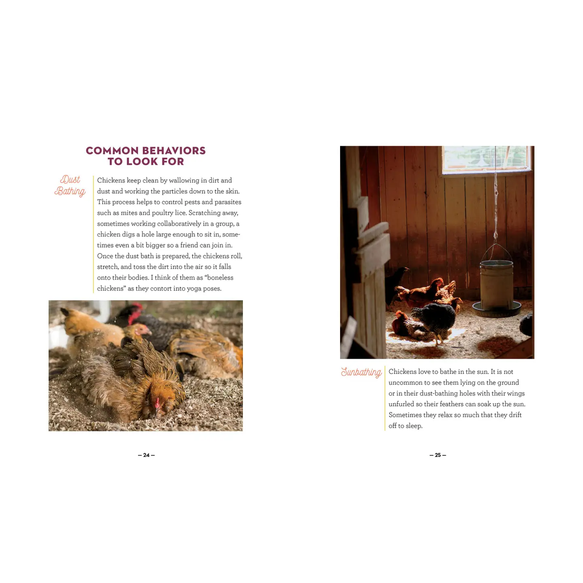 How to Speak Chicken Book