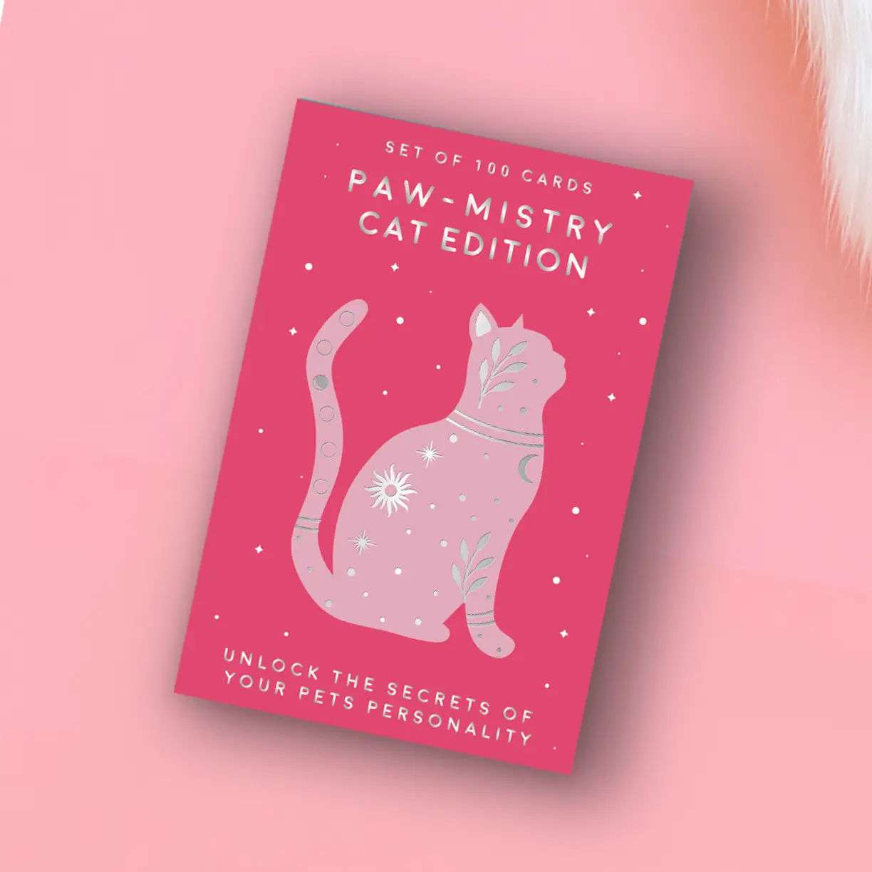 Paw-mistry Cards Cat