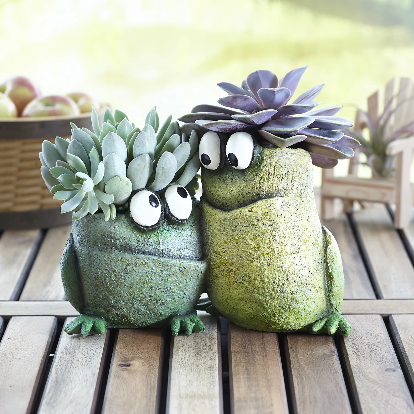 Planter Frog Pals