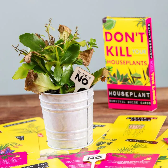 Don't Kill Your Houseplant Survival Cards