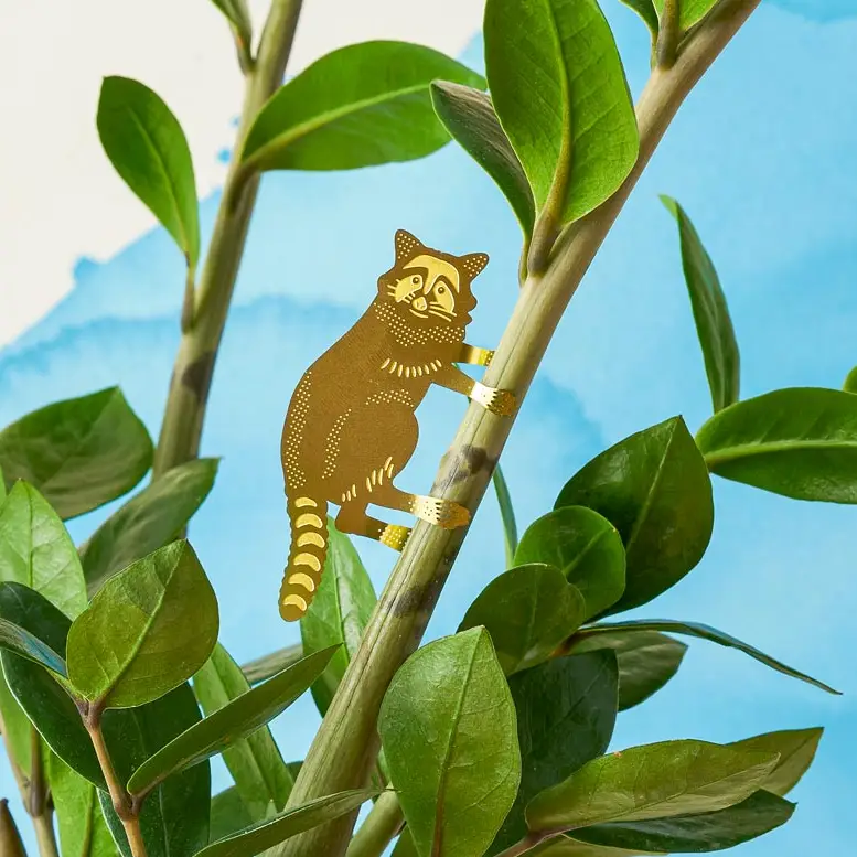 Plant Decoration - Raccoon