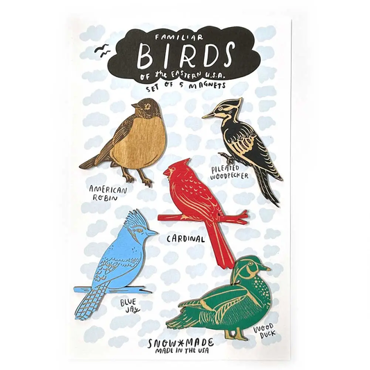 Eastern Bird Magnets Set of 5