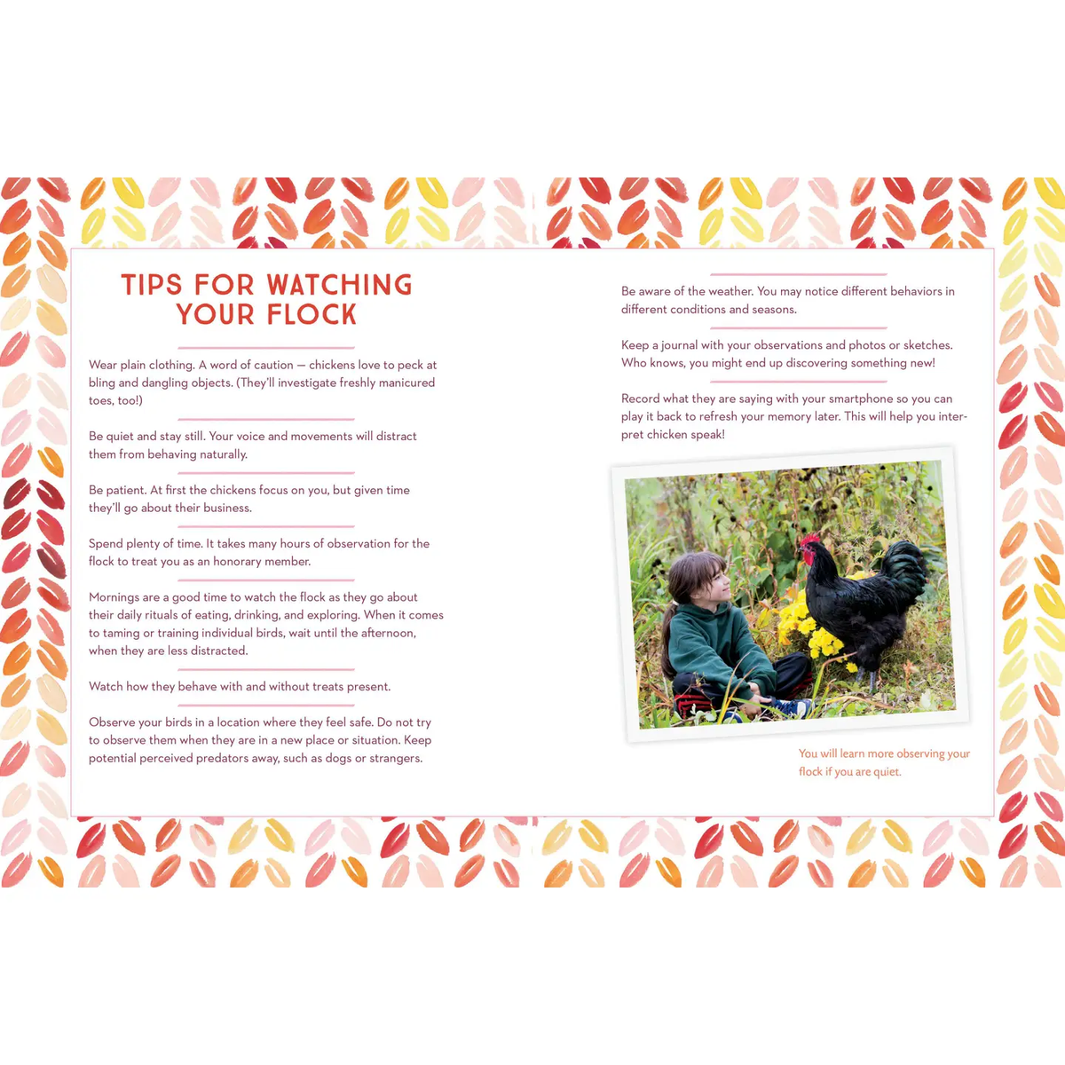 How to Speak Chicken Book