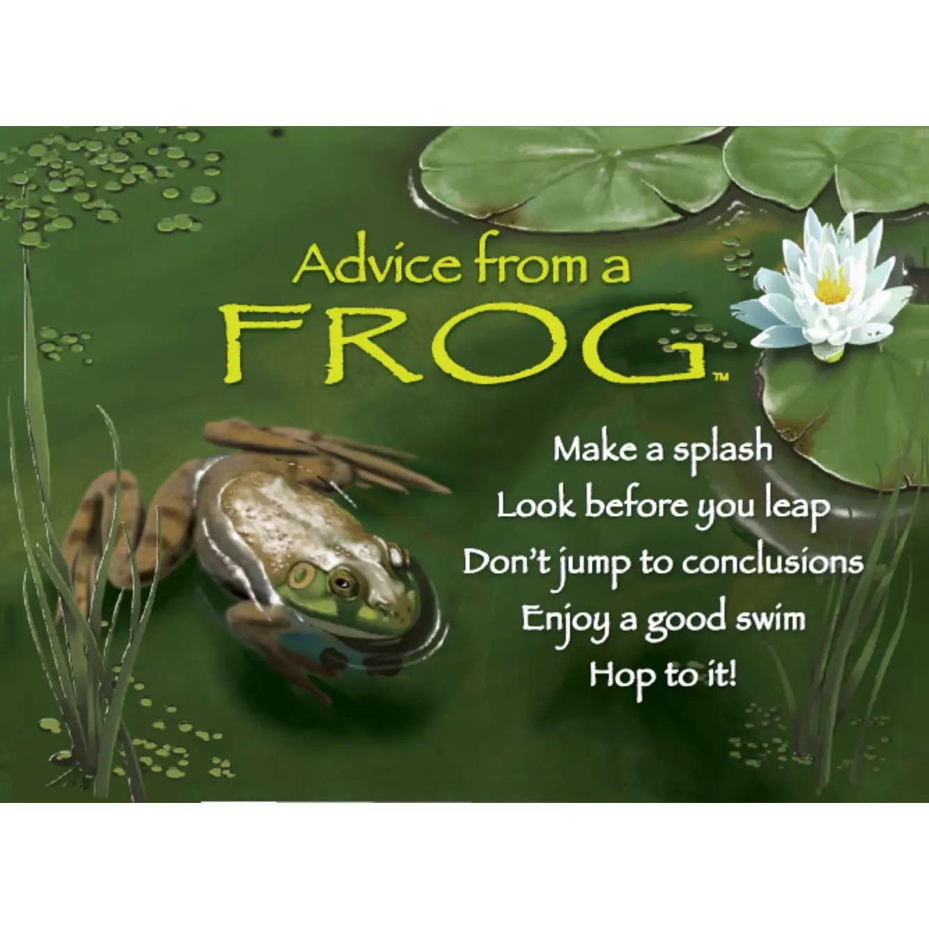 Magnet Advice from a Frog