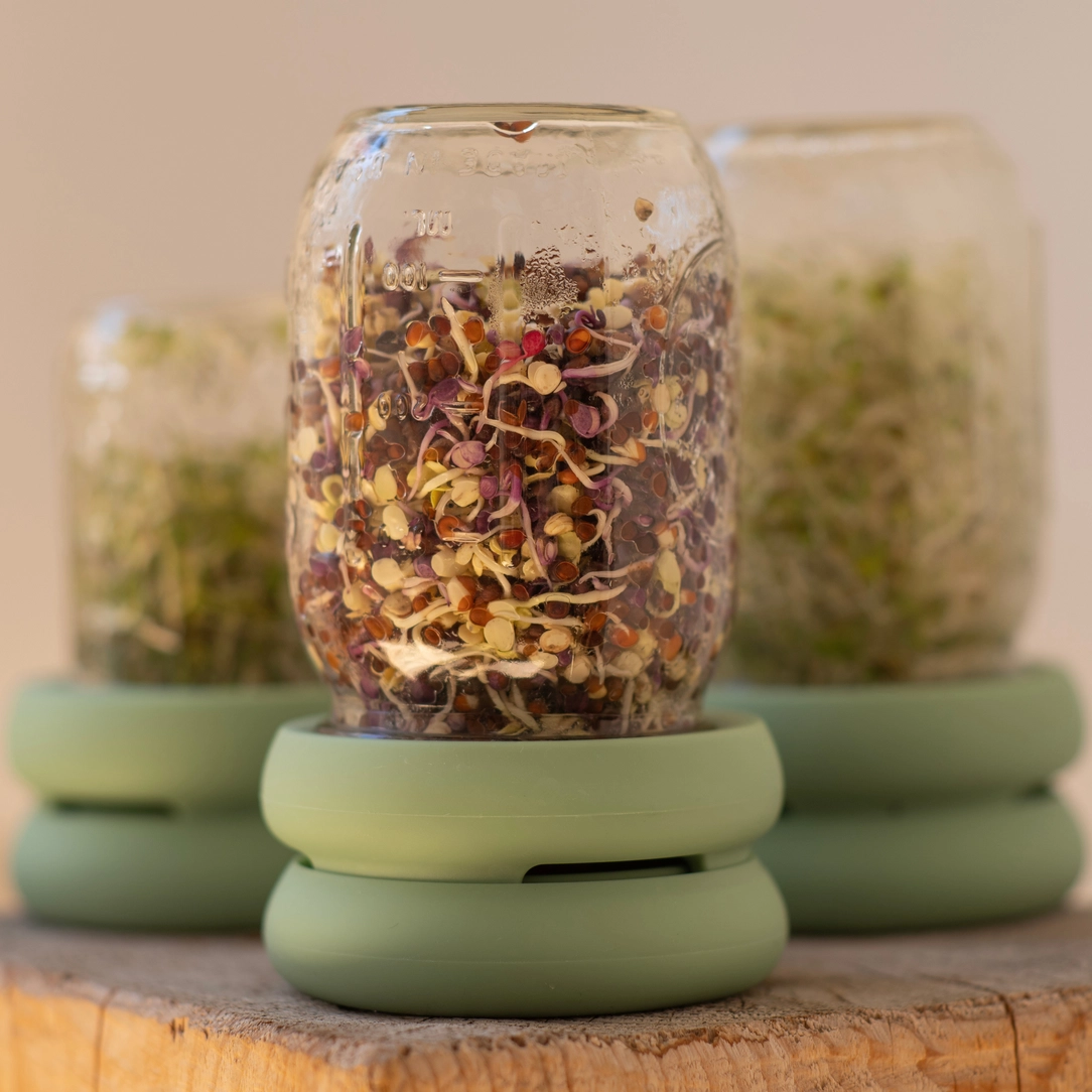 Reusable Silicone Sprouting Lids