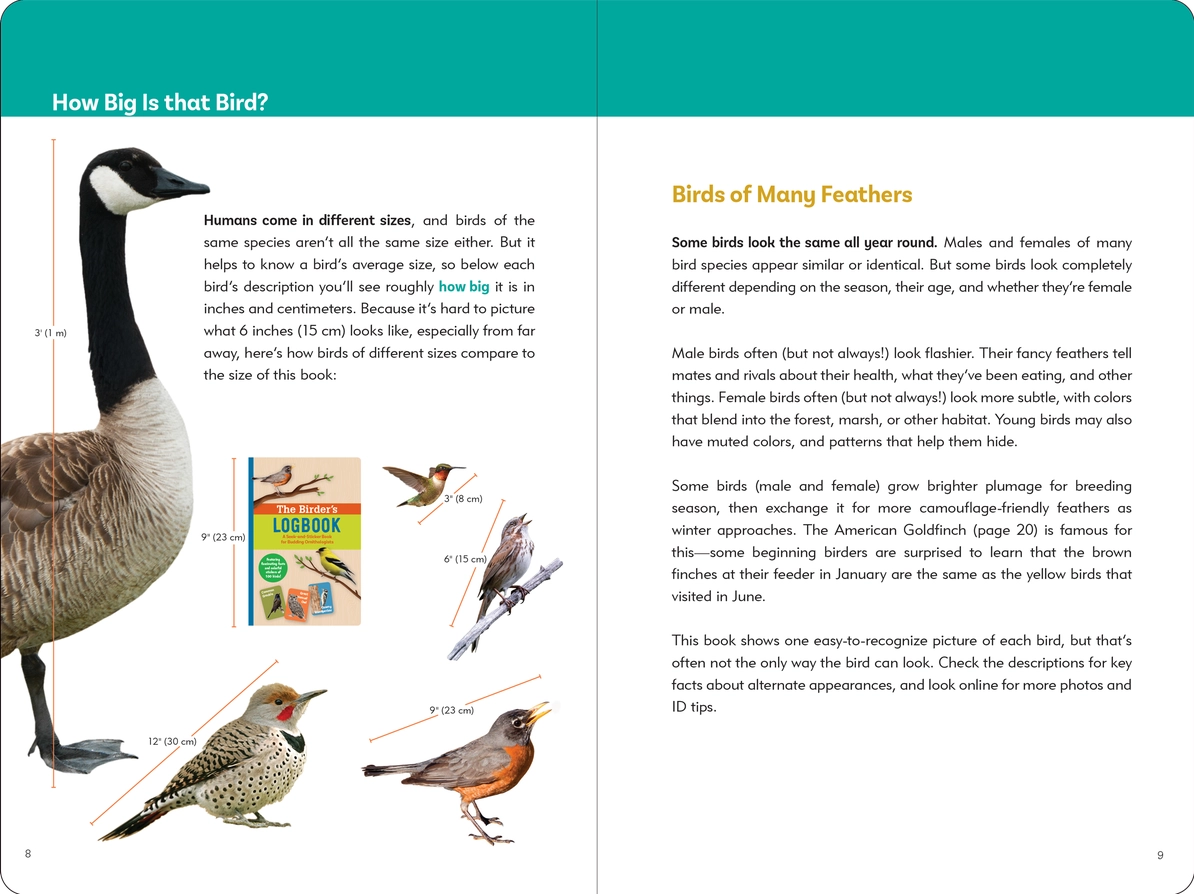 The Birder's Logbook