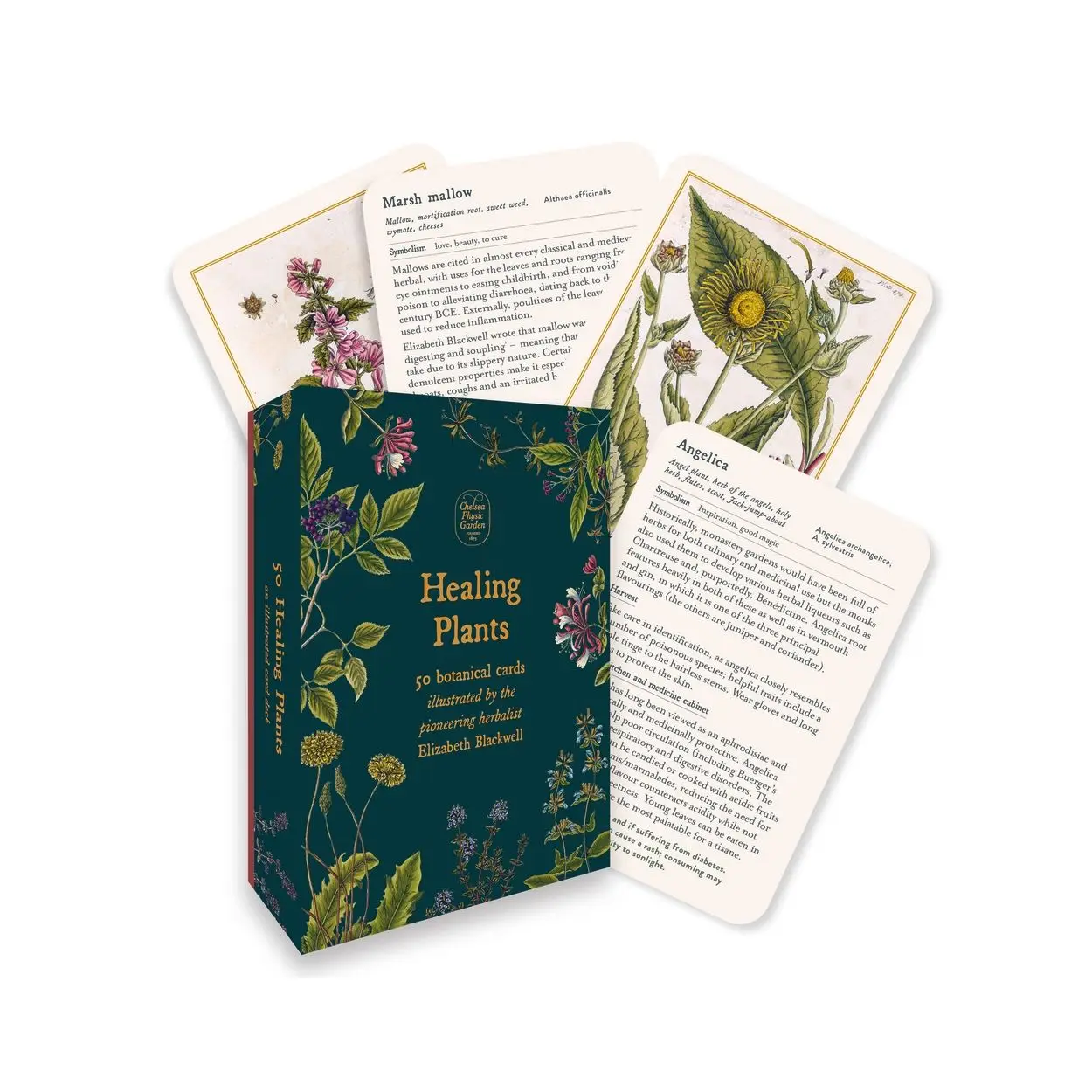 Healing Plants Cards