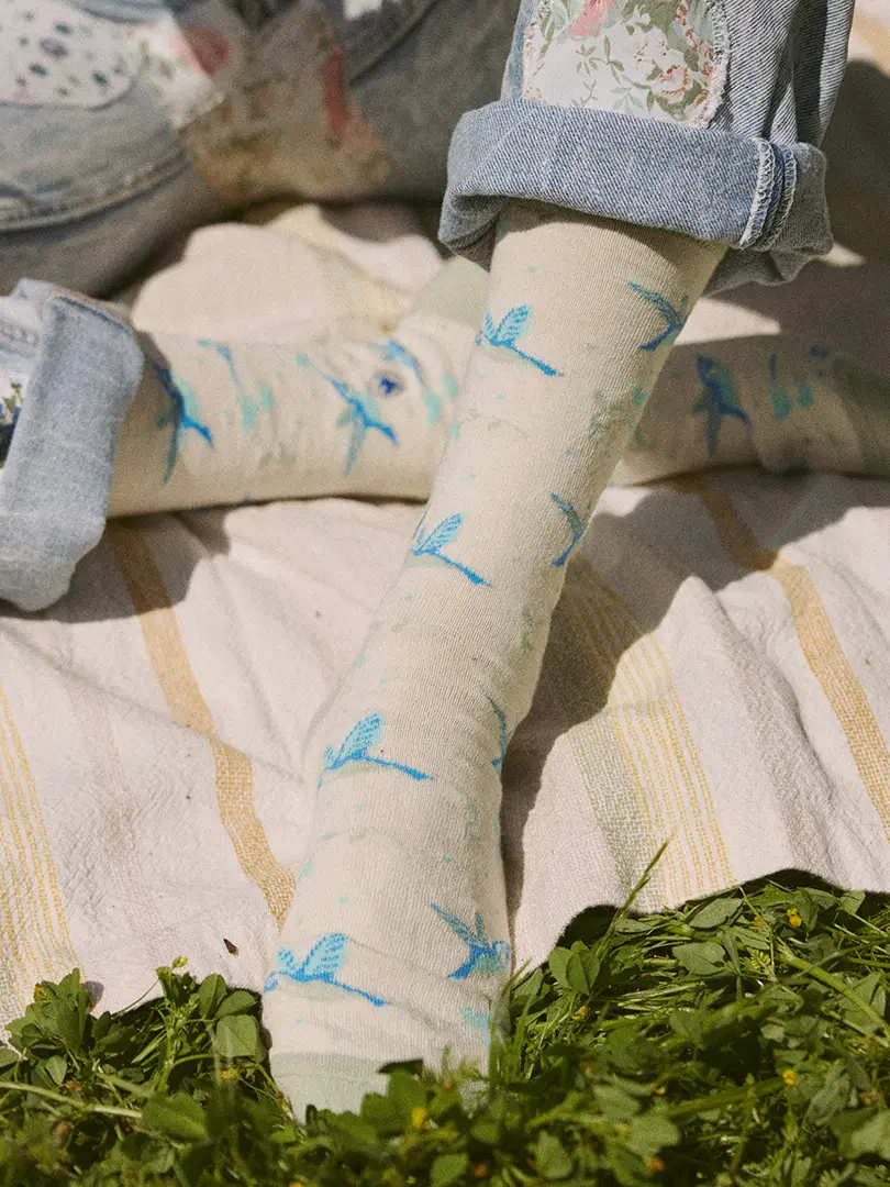 Socks That Protect Pollinators Hummingbirds