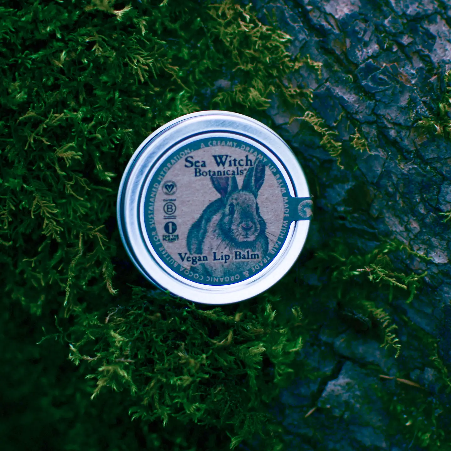 Lip Balm - Colorless Vegan