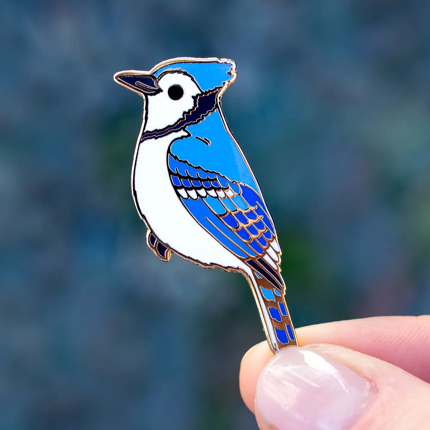 Blue Jay Enamel Pin