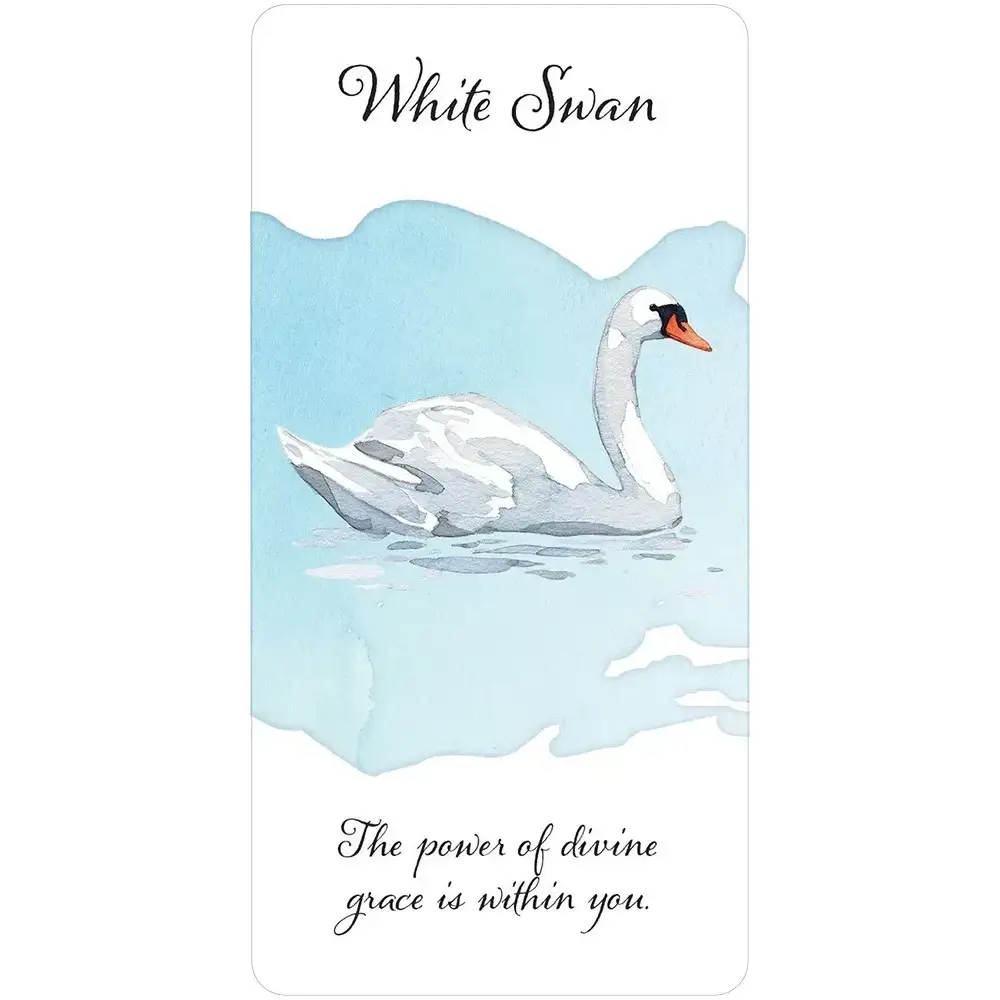 Divine Feather Messenger Cards