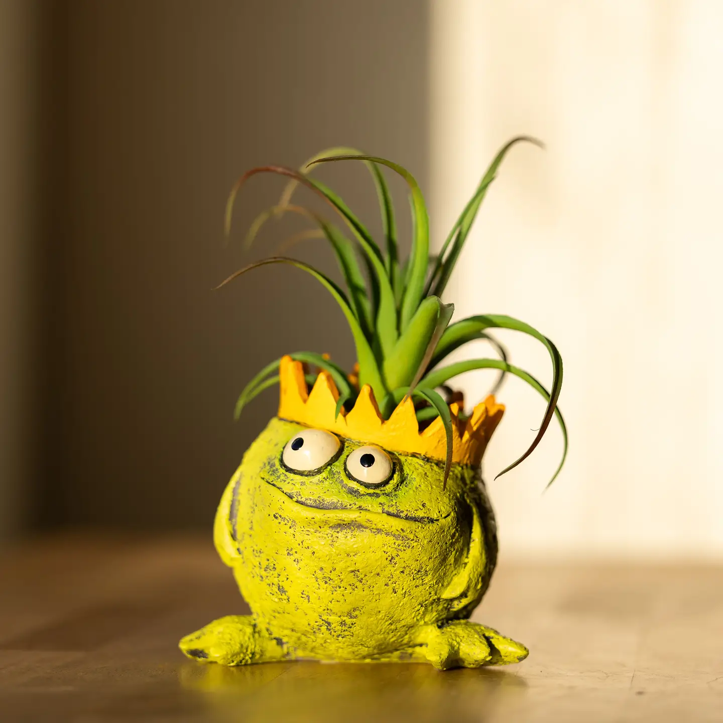 Charlie King Frog Planter