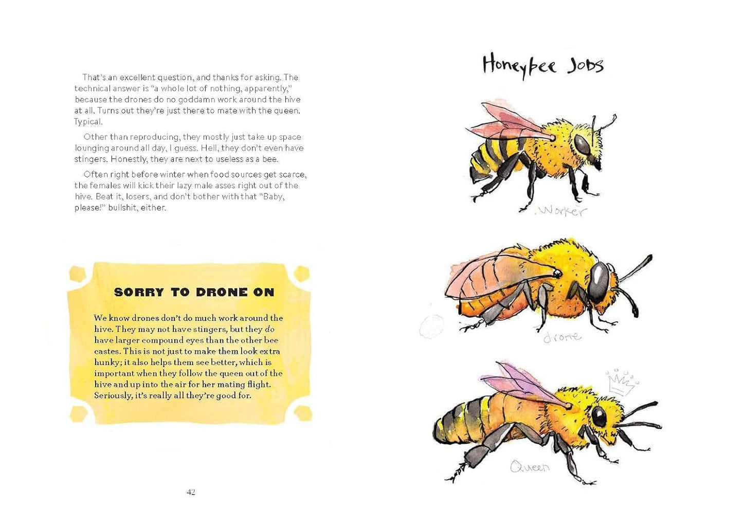 OMFG Bees Book