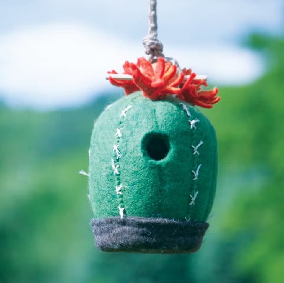 Felted Birdhouse: Barrel Cactus