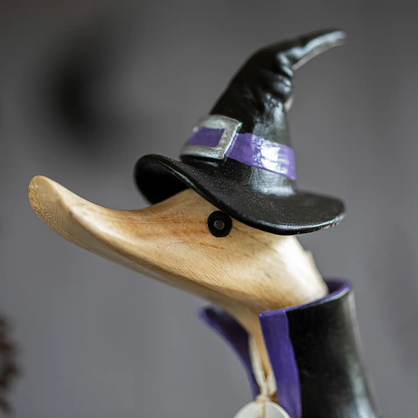 Witch Wooden Duck