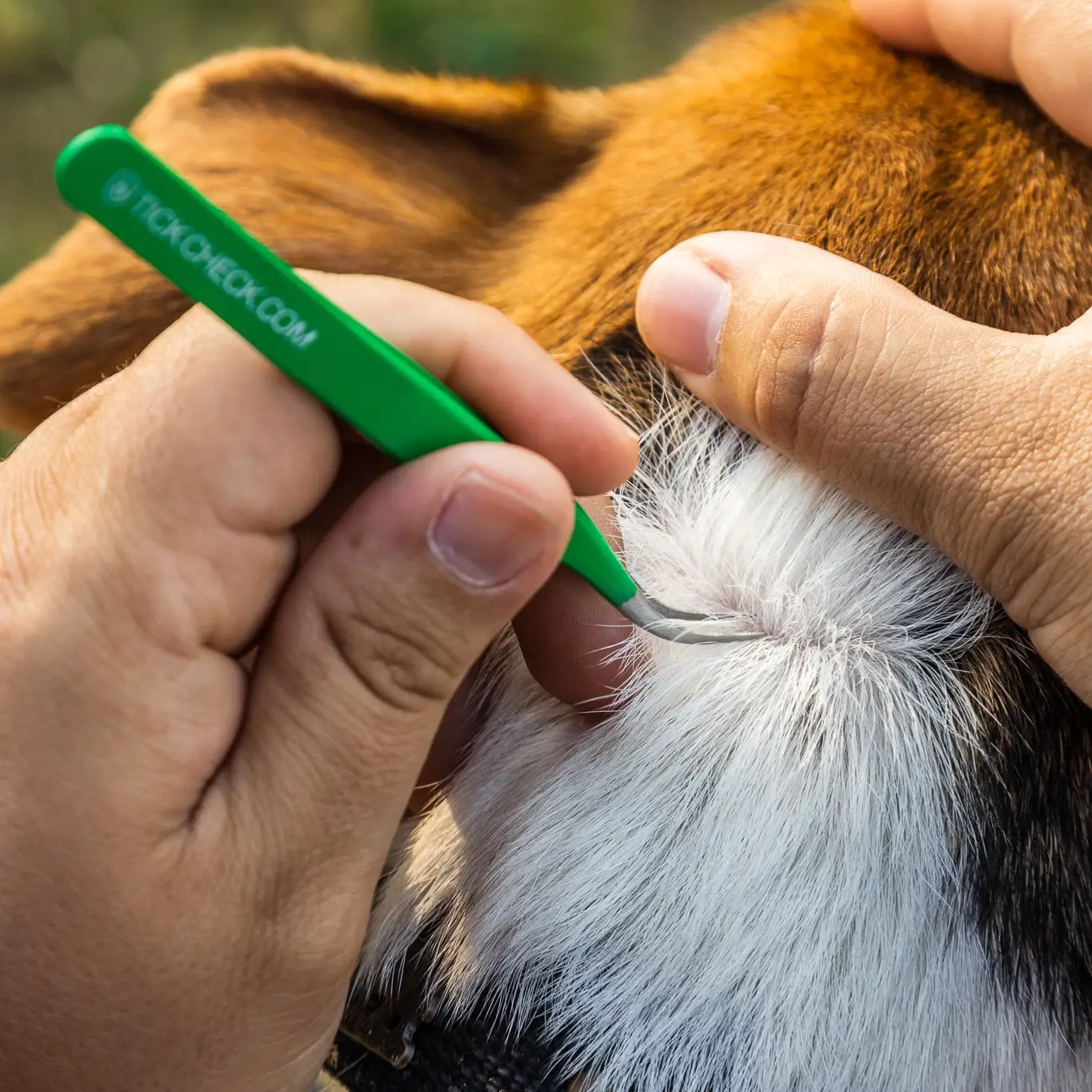 Premium Tick Remover Kit