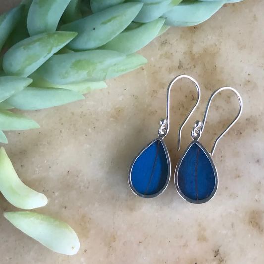 Blue Morpho Butterfly Earrings