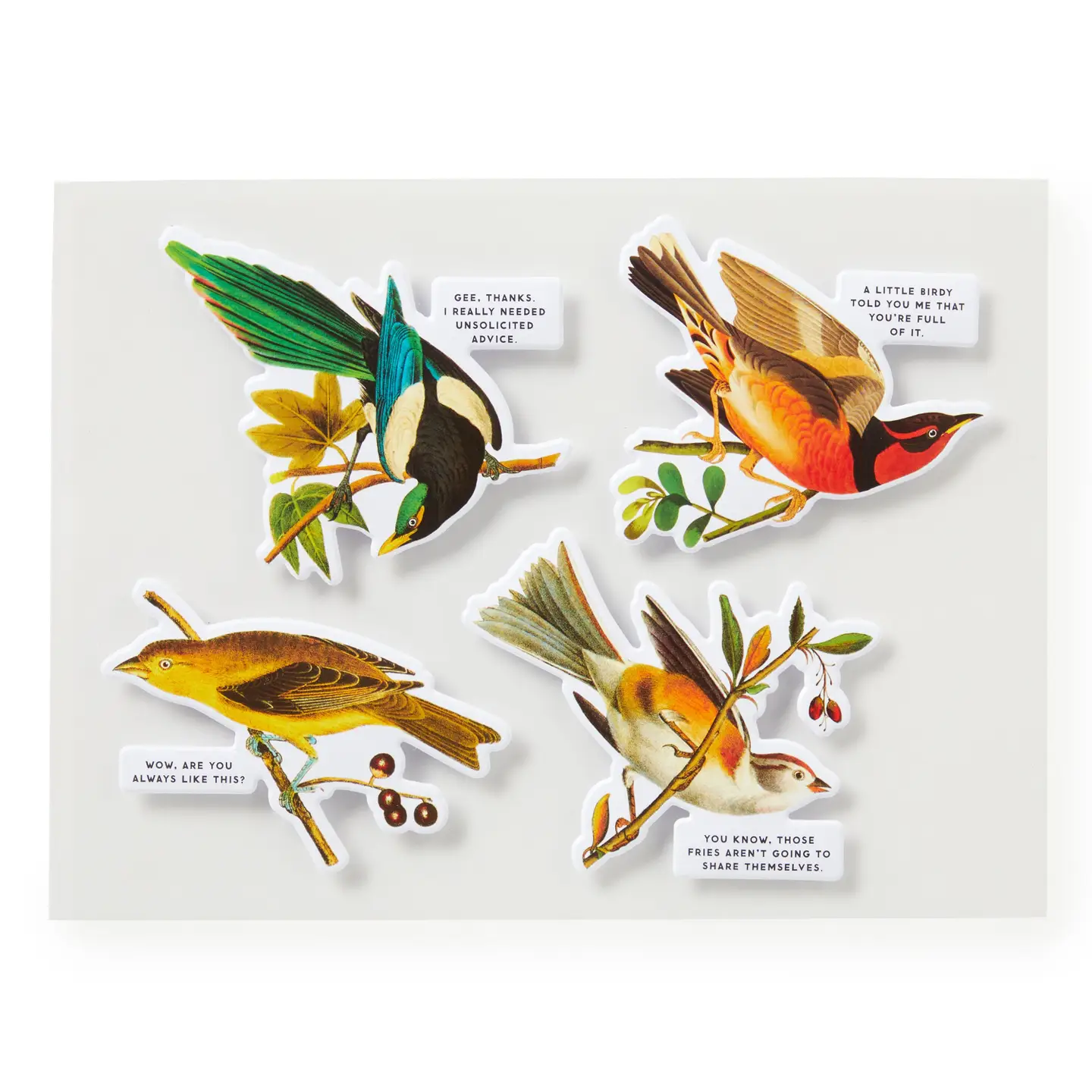 Salty Birds Puzzle 1000pc