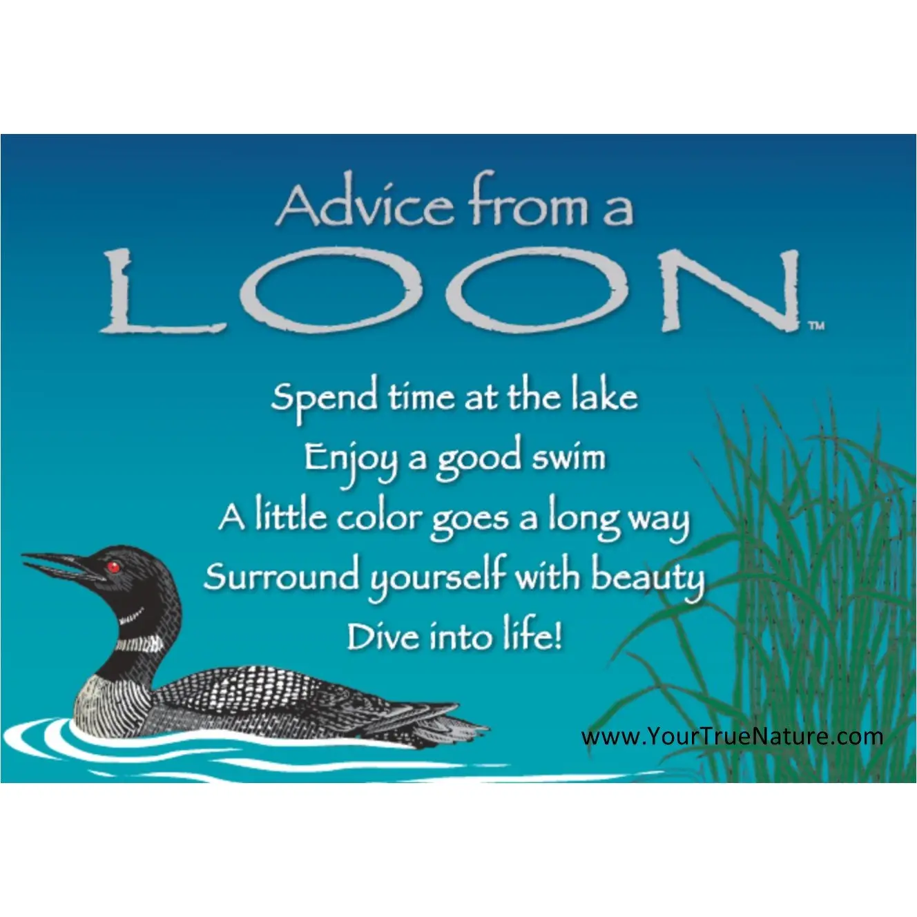 Magnet Advice from a Loon