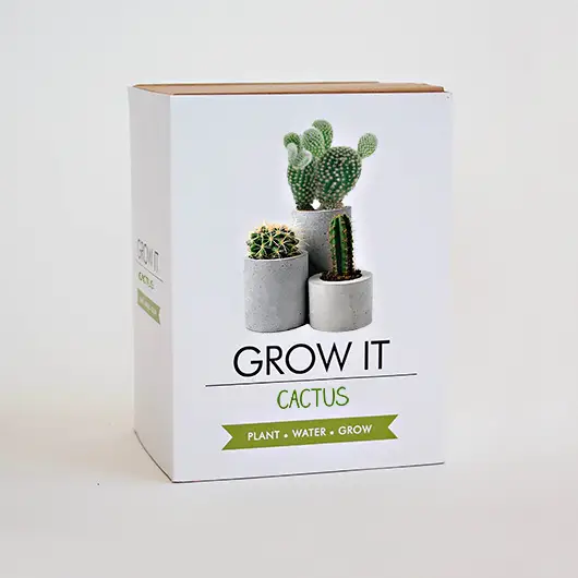 Cactus Grow It