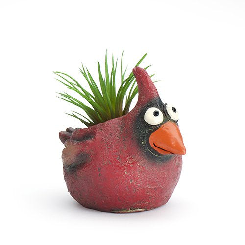 Baby Cardinal Bird Mini Planter