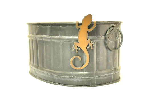 Lizard Pot Climber