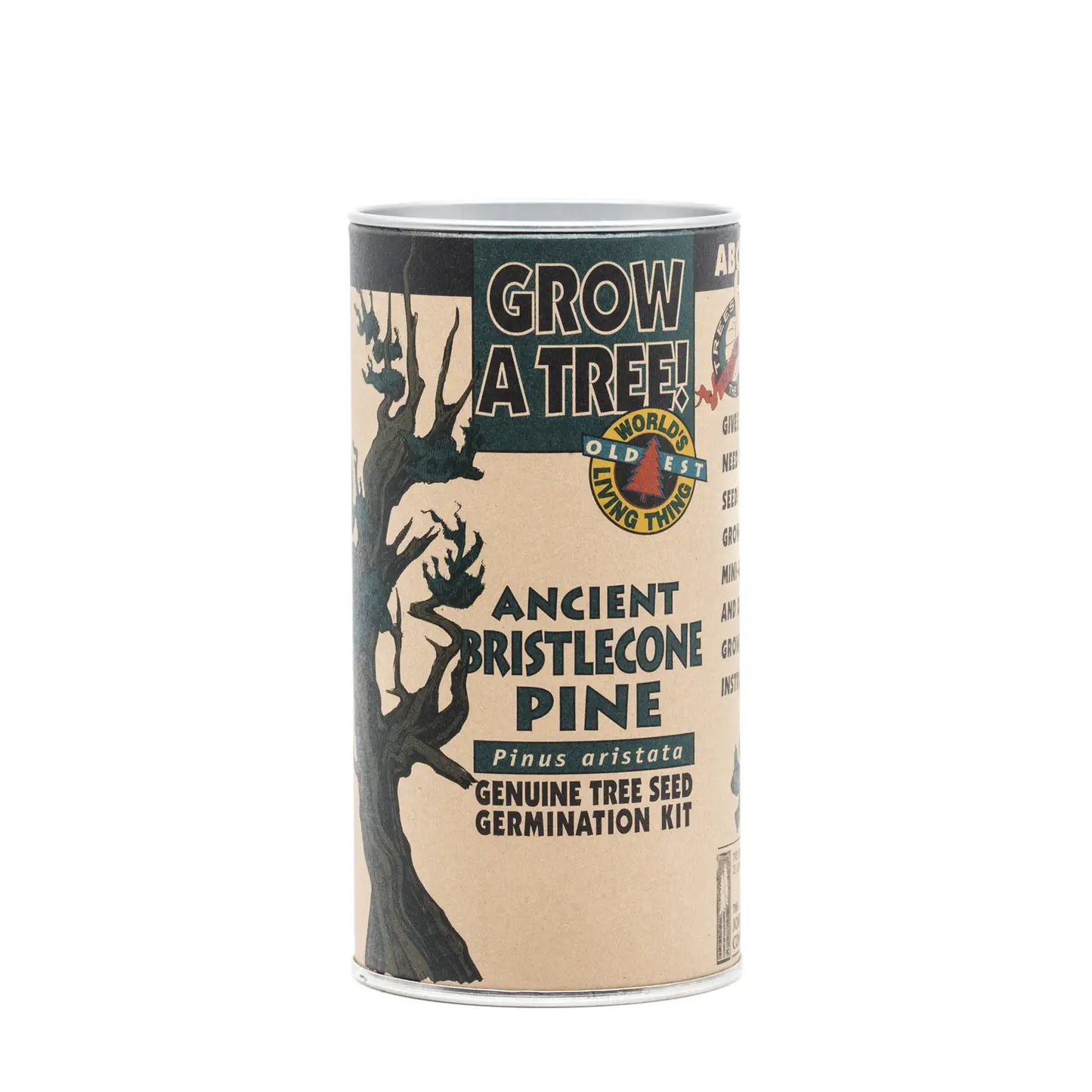 Bristlecone Pine Grow Kit