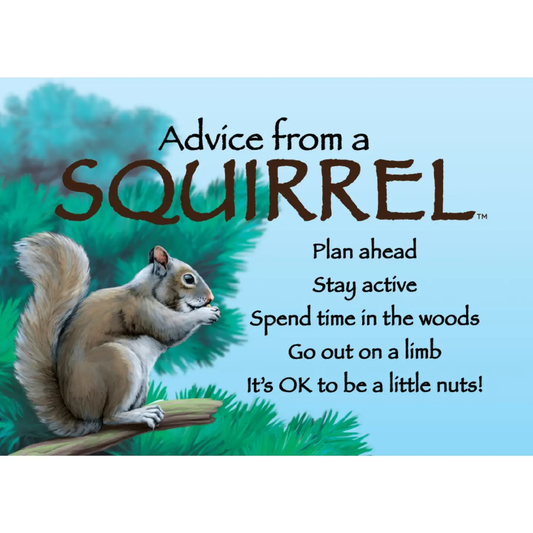 Magnet Advice from a Squirrel