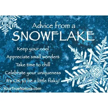 Magnet Advice from a Snowflake