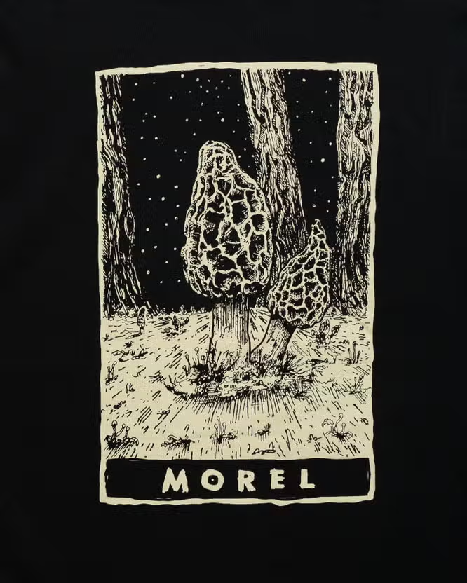 Morel Mushroom Tarot T-Shirt