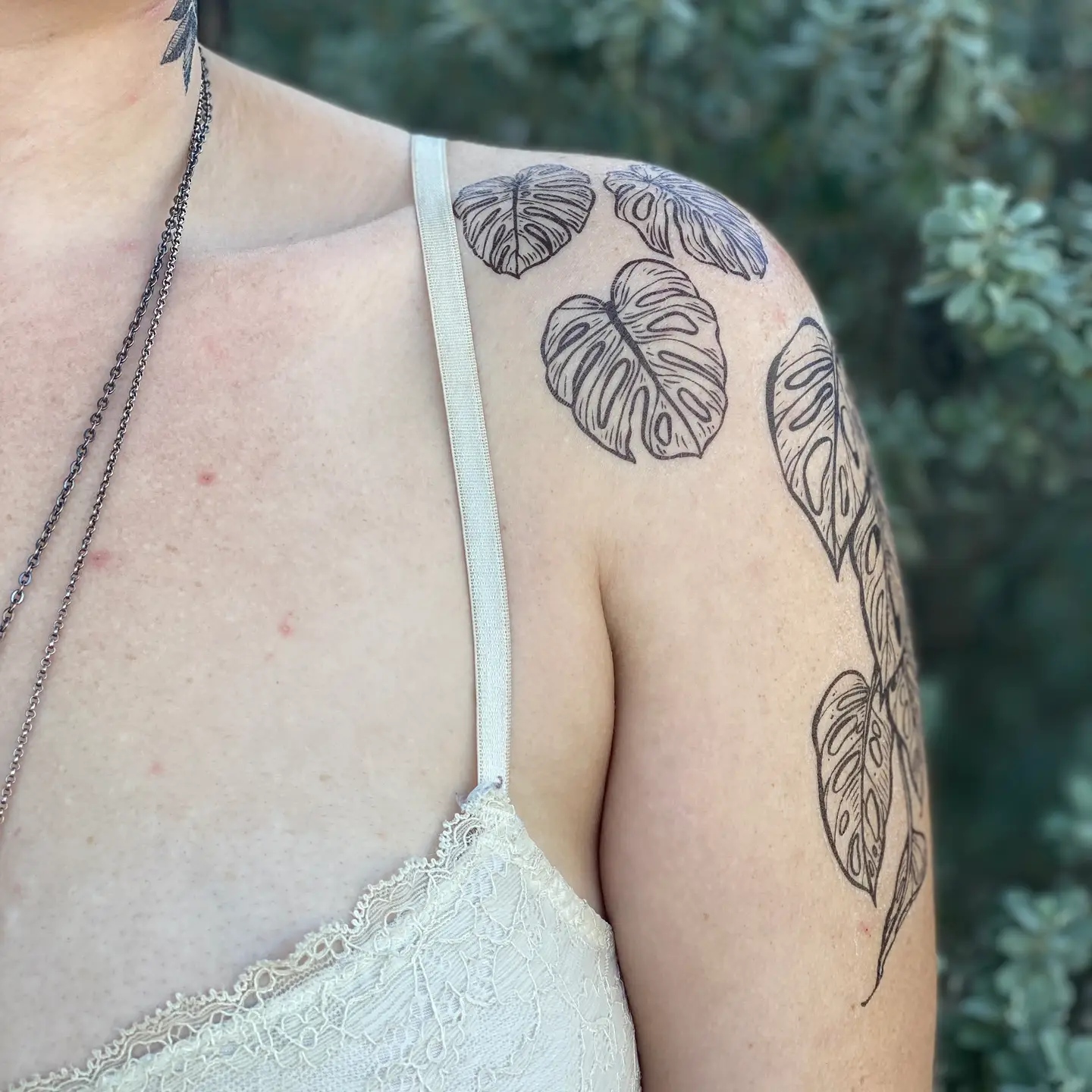 Monstera Vine Temporary Tattoo